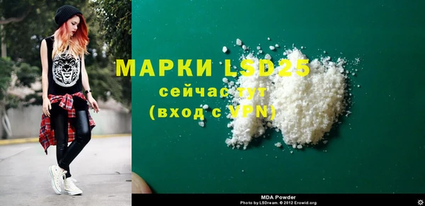 стаф Алексин