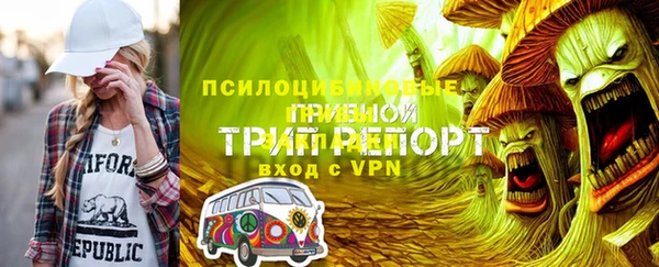 apvp Семёнов