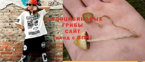 стаф Алексин