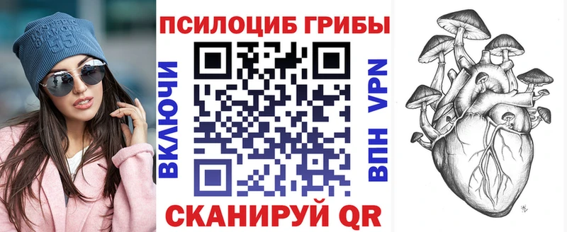 это как зайти  Ишим  Псилоцибиновые грибы мухоморы  купить  сайты 