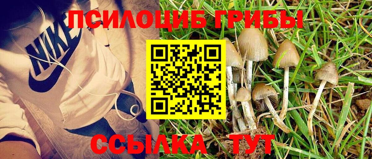 Галлюциногенные грибы Psilocybine cubensis  Галлюциногенные грибы Magic Shrooms  Вход с VPN  купить наркотик  Ишим 