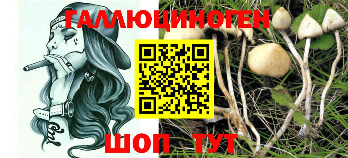 Галлюциногенные грибы мицелий Ишим