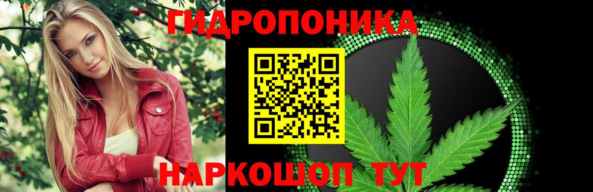Каннабис Ganja Ишим